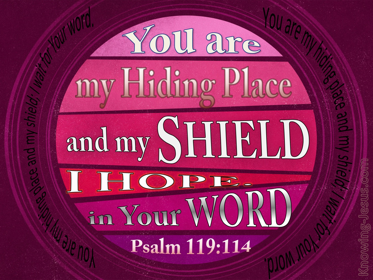 what-does-psalm-119-114-mean